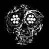 Young Widows - Decayed: Ten Years Of Cities, Wounds, Lightness, And Pain (Limited Edition) (2 LP)