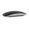 Apple Magic Mouse crni