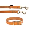 Heim set: usnjen povodec + ovratnica Buffalo, konjak - Velikost ovratnice 55 + povodec 200 cm