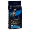 Purina Veterinary Diets - DRM Dermatosis - Varčno pakiranje: 2x12 kg