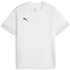 Puma Dres teamGOAL Matchday Jersey jr