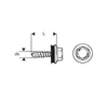shumee SJÄLVBORRANDE SKRUV 4,8*35MM RAL 8017 - 5 STO - WSB 35 8017G