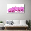 tulup.si Slika na platnu Pink orchid cvetje 100x50 cm