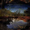 Saariselka - The Ground Our Sky (Limited Edition) (Iridescent Dark Blue Coloured) (LP)