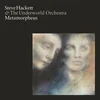 Steve Hackett - Metamorpheus (Reissue) (180 g) (LP)