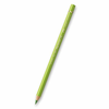Faber-Castell Barvice Polychromos - zeleni odtenki 170