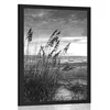 Plakat sončni zahod na plaži v črnobeli varianti - 30x45 black