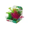 Akvarijske rastline PLANTKIT 4 set MINI 6pcs Zolux