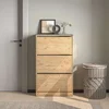 Hanah Home Cipelarnik Flat, 73x119x26 cm, Boje hrasta
