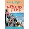 Famous Five: Five Fall Into Adventure