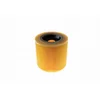VACS Hepa filter KÄRCHER mv3 P Premium - 1 kom