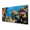 tulup.si Slika na akrilnem steklu Barrier reef narava 100x50 cm 2 obešalnika