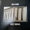 Gilla Band - Most Normal (LP)
