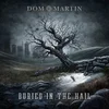 Dom Martin - Buried In The Hail (Limited Edition) (LP)