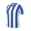 NIKE Dres Division V  modra / bela