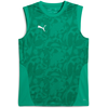 Dre Puma teamCUP Training leevele Jerey