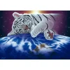 Grafika - Puzzle Schimmel: Cuddle Time - 1 500 kosov