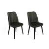Hanah Home Set trpezarijskih stolica Alfa 432 V2, 2 komada, Zeleni