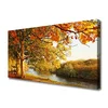 tulup.si Slika na platnu Tree lake nature 140x70 cm
