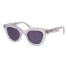 Superdry Naočare za sunce SDS 5037 120