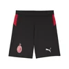 Mens Puma AC Milan 25/26 Shorts, Black, Size M, Sport