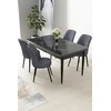 Hanah Home Set Trpezarijski sto i 4 stolice Nil, Sivo-crni