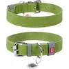 WAUDOG Usnjena ovratnica 20mmx30-39cm zelena