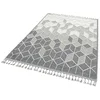 Conceptum Hypnose Tepih 160x230cm Sivi