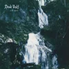 Dead Wolf - Evil Spirit (LP)