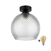 BRILAGI - LED stropno svetlo R GLASS 1xE27/60W/230V O 25 cm crna/zadimljeno-siva