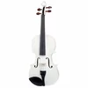 Violina 4/4 Harlequin White SR1401 Stentor