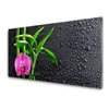 tulup.si Slika na akrilnem steklu Bamboo flower drops 120x60 cm 2 obešalnika