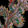 Weval - Remember (2 LP)