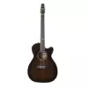 Seagull Artist Mosaic CH CW | Bourbon Burst GT EQ