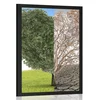 Plakat drevo v dveh podobah - 20x30 no frame