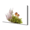 tulup.si Slika na platnu Rastlinski gobe narava 100x50 cm
