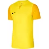 Dre Nike M NK DF TROPHY V JY