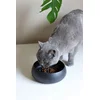 Aberto Design Činija za pse BSPT002, 14x6 cm, Siva