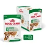 Royal Canin MINI AGEING, vlažna hrana za pse 12x85g
