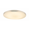 GLOBO 48388-48 - LED plafonsko svetlo sa daljinskim upravljačem PIERRE LED/48W/230V