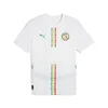 PUMA Dres Senegal 2025 svetlo rumena/svetlo zelena/živo rdeča/bela