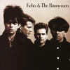 Echo & The Bunnymen - Echo & The Bunnymen (CD)