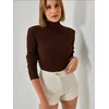 Bianco Lucci Pulover Pullover temno rjava