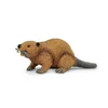 Safari Bober