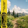 Justin Gallego - Grim Iconic... (Sadistic Mantra) (Limited Edition) (Coloured) (LP)