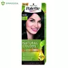 FARBA PALETTE PNC 909 ZELENA(5) HENKEL