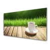 tulup.si Slika na akrilnem steklu Grass les narava mug 120x60 cm 4 obešalnika