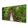 tulup.si Slika na akrilnem steklu Večina jungle deževni gozd 125x50 cm 4 obešalnika