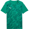 Puma Dres teamFINAL Graphic