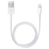 APPLE USB kabl ME291ZMA